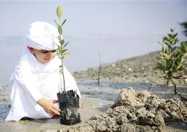 Engineering the Future: How Consultancy Elevates the Quality and Value of Real Estate Projects